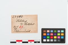 Etiketten zu Spinnwirtel (NHMW-PRAE-023960)